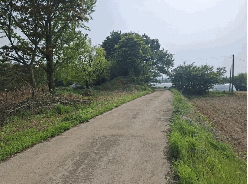 2025타경51273 충청남도 당진시 신평면 부수리 8-32 임야 경매 이미지