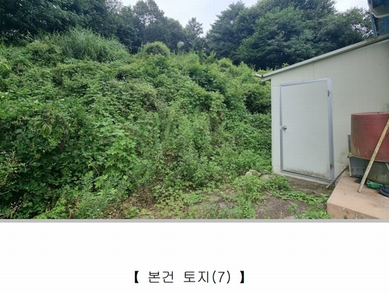 2025타경51558 충청북도 청주시 상당구 낭성면 갈산리 55 농지 경매 이미지