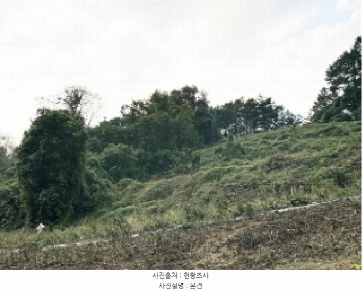 2025타경51795 충청북도 괴산군 괴산읍 서부리 567-5 농지 경매 이미지