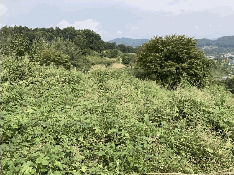 2025타경51795 충청북도 괴산군 괴산읍 서부리 567-5 농지 경매 이미지