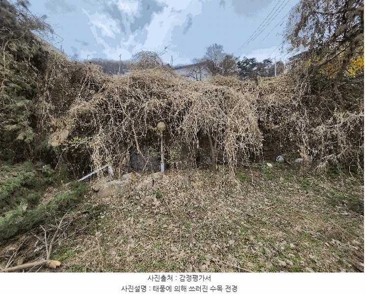 2025타경51912 경기도 광주시 초월읍 대쌍령리 307-20 근린시설 경매 이미지