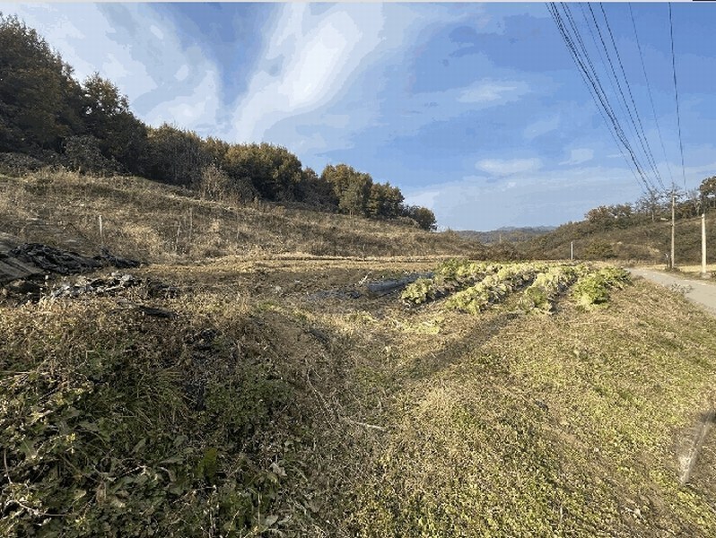 2025타경51919 충청북도 괴산군 감물면 오성리 256 농지 경매 이미지