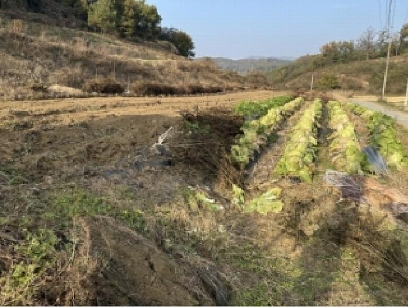 2025타경51919 충청북도 괴산군 감물면 오성리 256 농지 경매 이미지