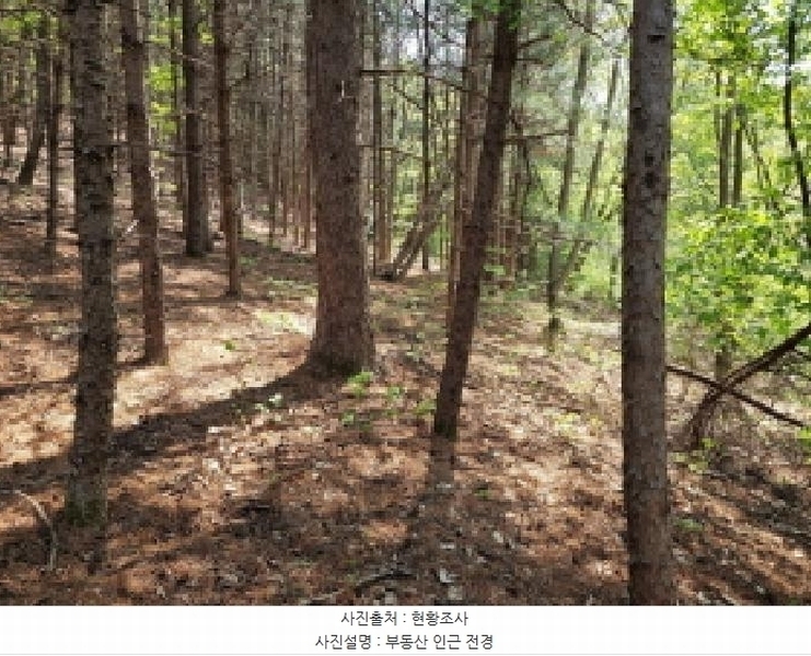 2025타경52049 경기도 광주시 도척면 추곡리 91 농지 경매 이미지