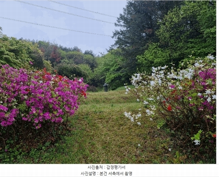 2025타경52049 경기도 광주시 도척면 추곡리 91 농지 경매 이미지