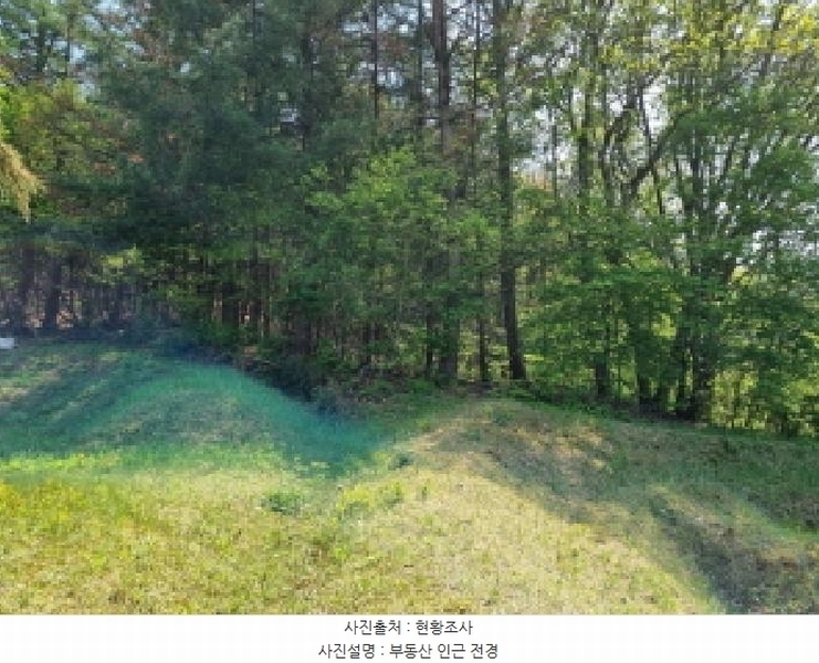 2025타경52049 경기도 광주시 도척면 추곡리 91 농지 경매 이미지