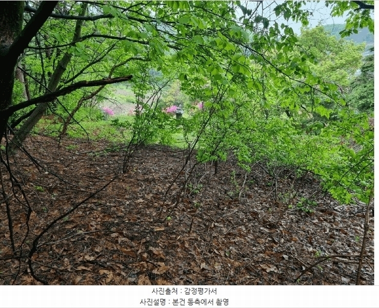 2025타경52049 경기도 광주시 도척면 추곡리 91 농지 경매 이미지