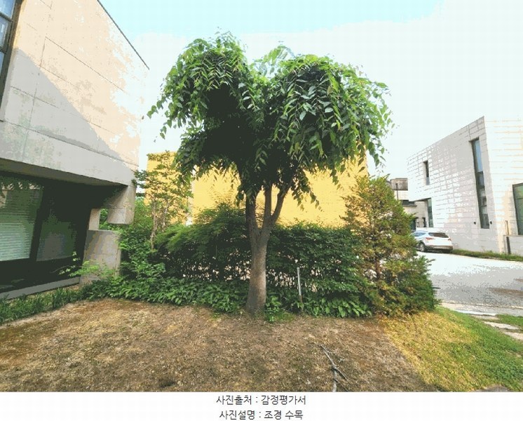 2025타경52141 경기도 성남시 분당구 운중동 909 주택 경매 이미지