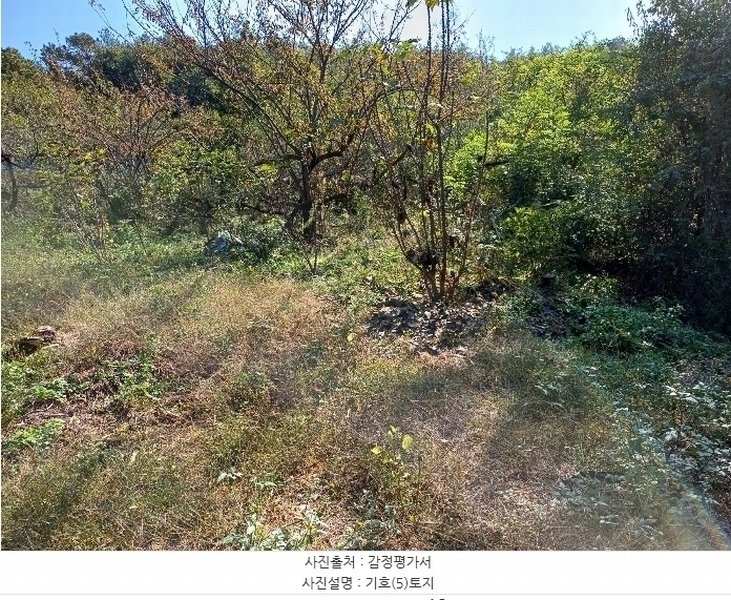 2024타경1738 경상북도 예천군 지보면 지보리 543 임야 경매 이미지
