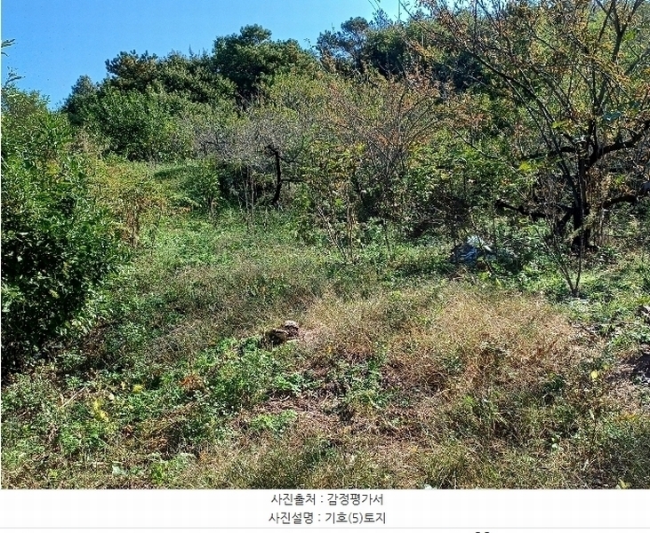 2024타경1738 경상북도 예천군 지보면 지보리 543 임야 경매 이미지