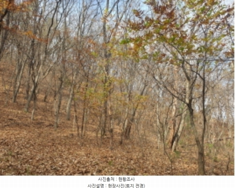 2024타경6696 경기도 광주시 곤지암읍 열미리 산120-8 임야 경매 이미지