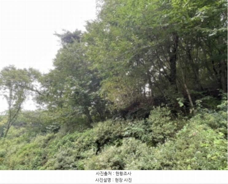 2024타경63897 경기도 광주시 남한산성면 불당리 산75-3 임야 경매 이미지