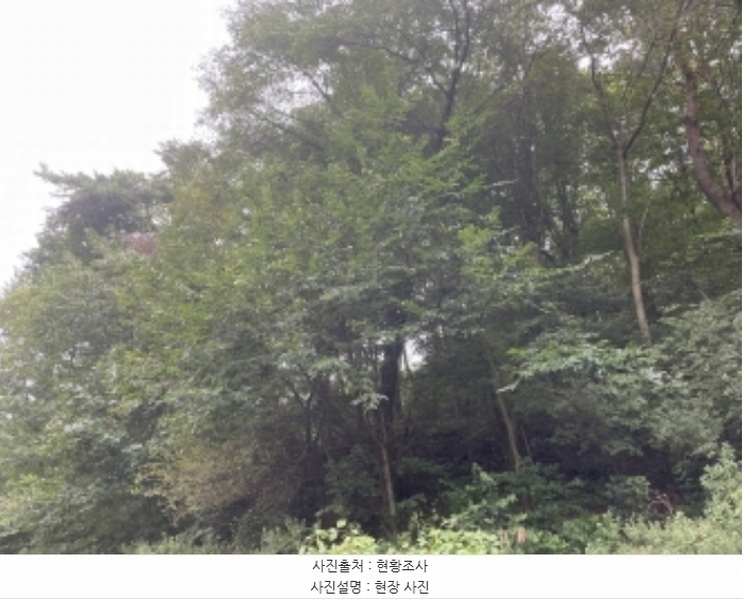 2024타경63897 경기도 광주시 남한산성면 불당리 산75-3 임야 경매 이미지