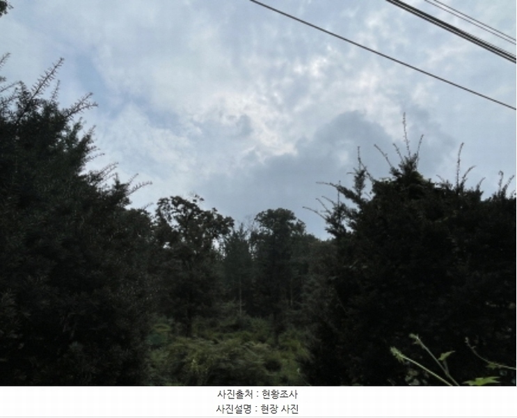 2024타경63897 경기도 광주시 남한산성면 불당리 산75-3 임야 경매 이미지