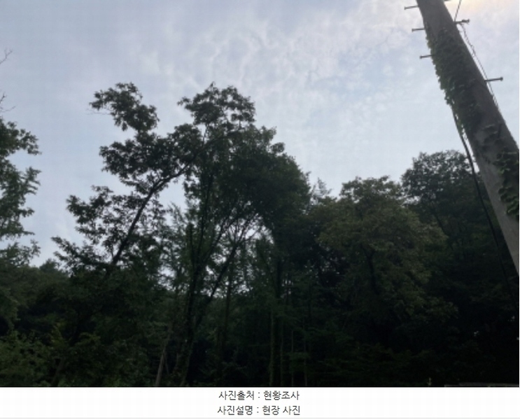 2024타경63897 경기도 광주시 남한산성면 불당리 산75-3 임야 경매 이미지