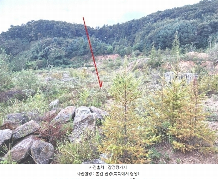 2024타경66247 경기도 광주시 퇴촌면 영동리 143-20 임야 경매 이미지