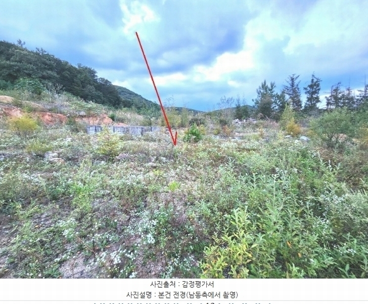 2024타경66247 경기도 광주시 퇴촌면 영동리 143-20 임야 경매 이미지