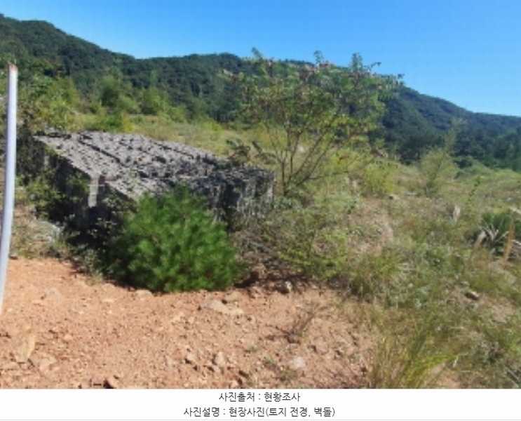2024타경66247 경기도 광주시 퇴촌면 영동리 143-20 임야 경매 이미지