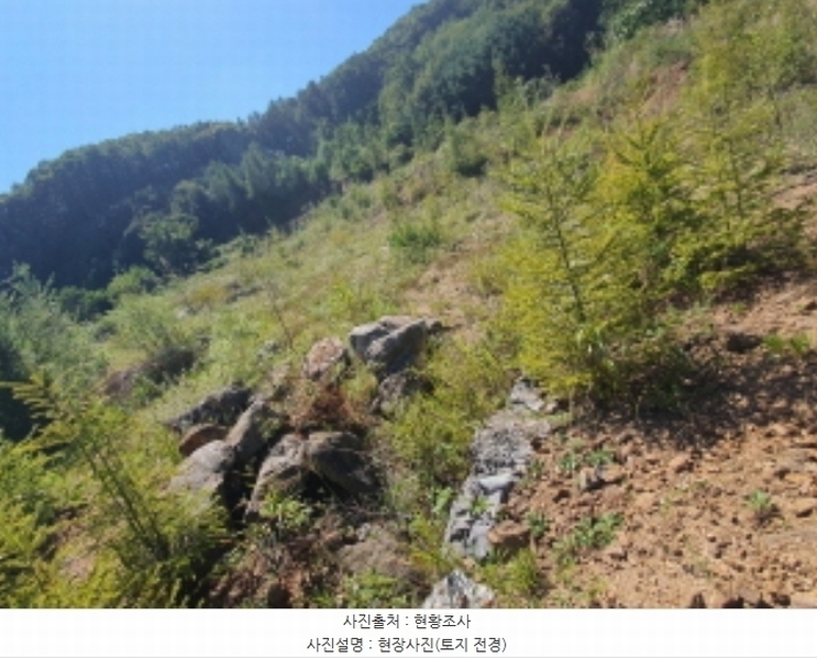2024타경66247 경기도 광주시 퇴촌면 영동리 143-20 임야 경매 이미지