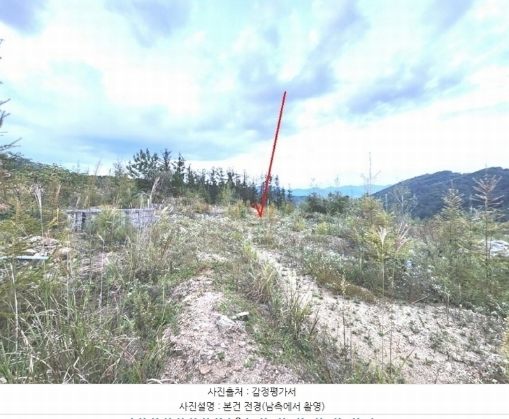 2024타경66247 경기도 광주시 퇴촌면 영동리 143-20 임야 경매 이미지