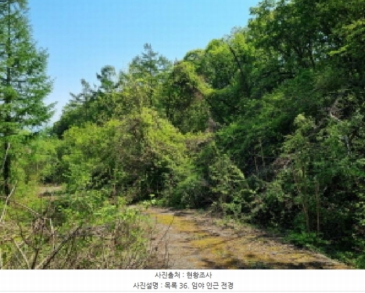2024타경67240 경기도 광주시 퇴촌면 영동리 산65-29 임야 경매 이미지