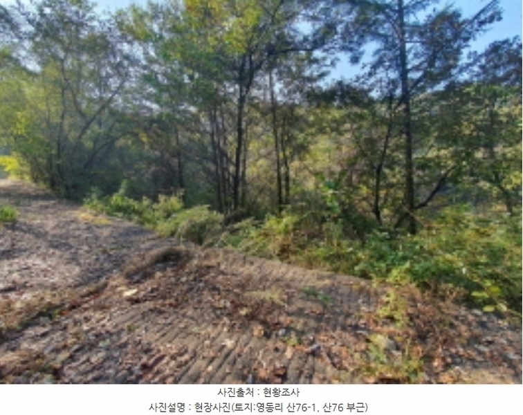 2024타경67240 경기도 광주시 퇴촌면 영동리 산65-29 임야 경매 이미지