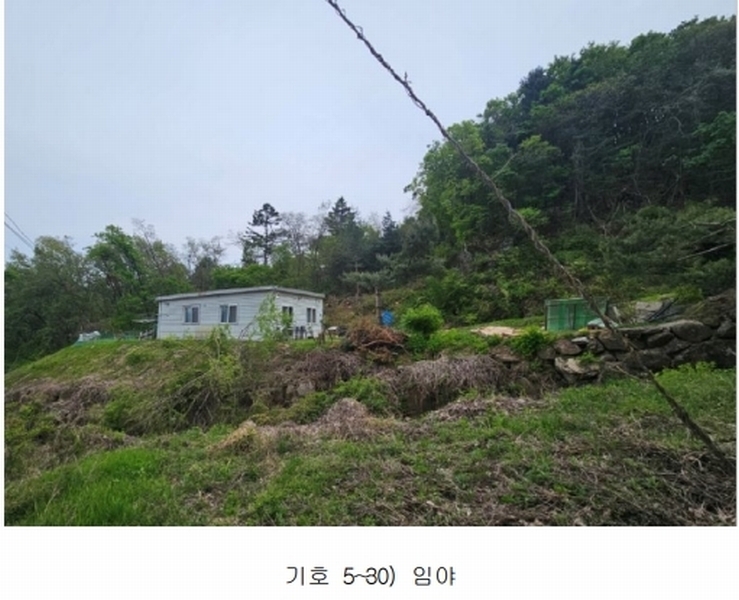 2024타경67240 경기도 광주시 퇴촌면 영동리 산65-29 임야 경매 이미지