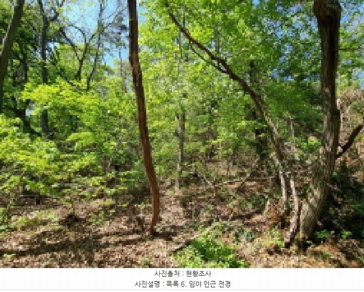 2024타경67240 경기도 광주시 퇴촌면 영동리 산65-29 임야 경매 이미지
