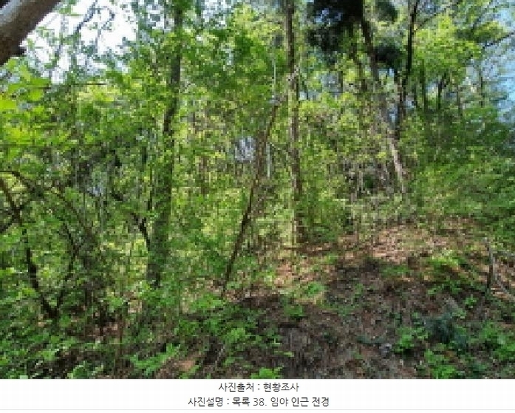 2024타경67240 경기도 광주시 퇴촌면 영동리 산65-29 임야 경매 이미지