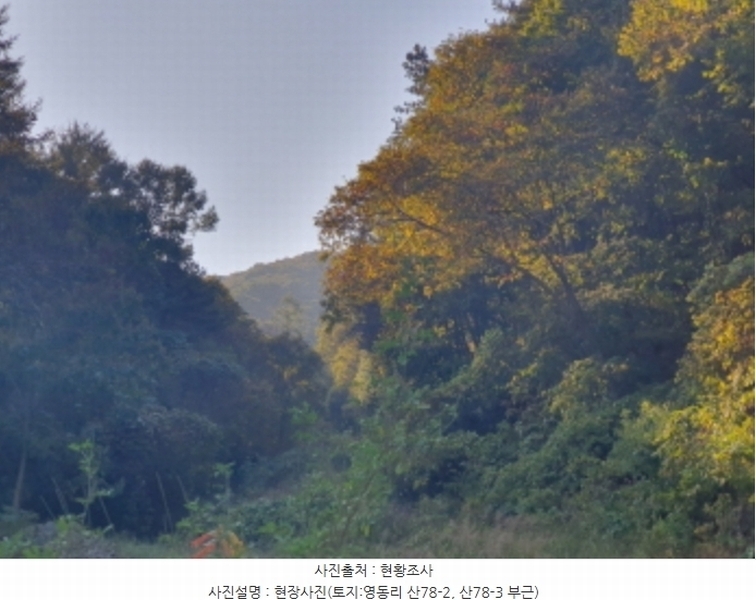 2024타경67240 경기도 광주시 퇴촌면 영동리 산65-29 임야 경매 이미지