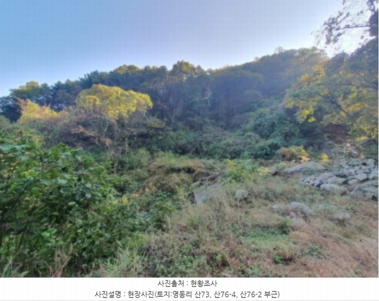 2024타경67240 경기도 광주시 퇴촌면 영동리 산65-29 임야 경매 이미지
