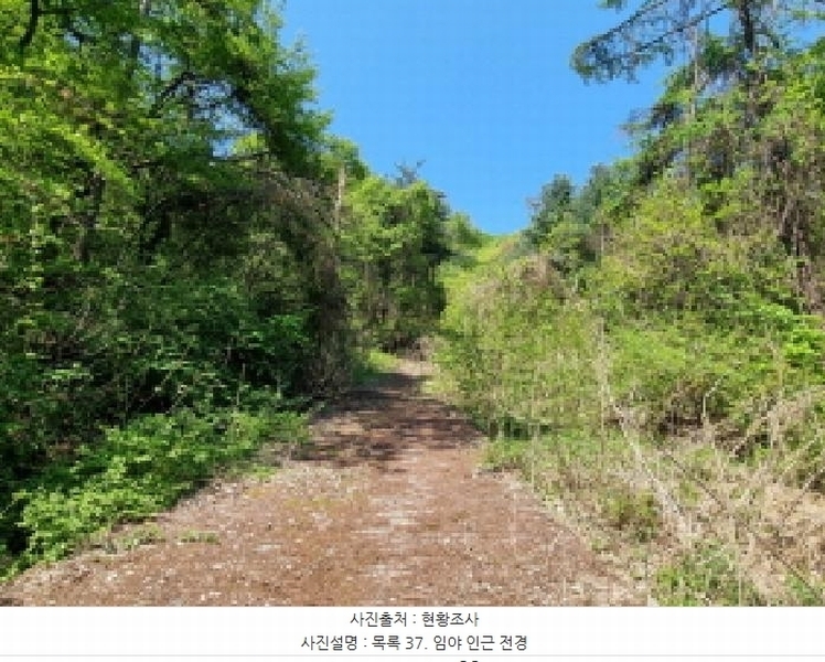2024타경67240 경기도 광주시 퇴촌면 영동리 산65-29 임야 경매 이미지