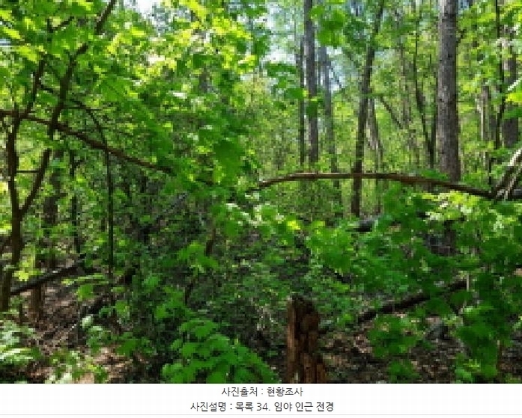 2024타경67240 경기도 광주시 퇴촌면 영동리 산65-29 임야 경매 이미지