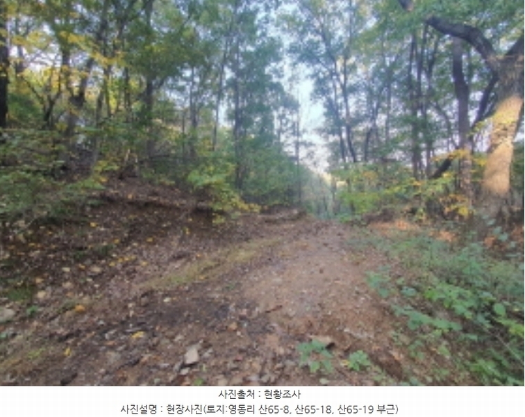 2024타경67240 경기도 광주시 퇴촌면 영동리 산65-29 임야 경매 이미지