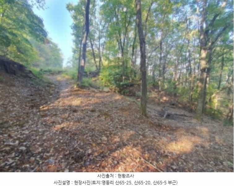 2024타경67240 경기도 광주시 퇴촌면 영동리 산65-29 임야 경매 이미지