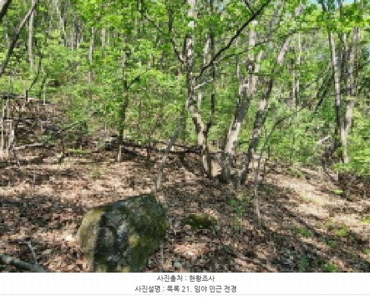 2024타경67240 경기도 광주시 퇴촌면 영동리 산65-29 임야 경매 이미지