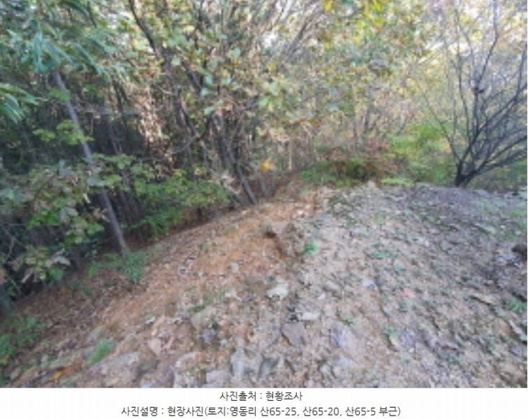 2024타경67240 경기도 광주시 퇴촌면 영동리 산65-29 임야 경매 이미지