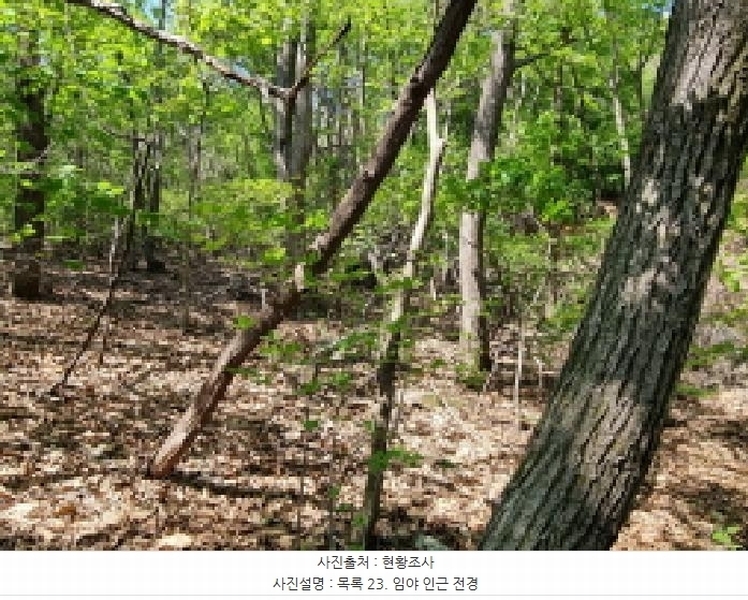 2024타경67240 경기도 광주시 퇴촌면 영동리 산65-29 임야 경매 이미지