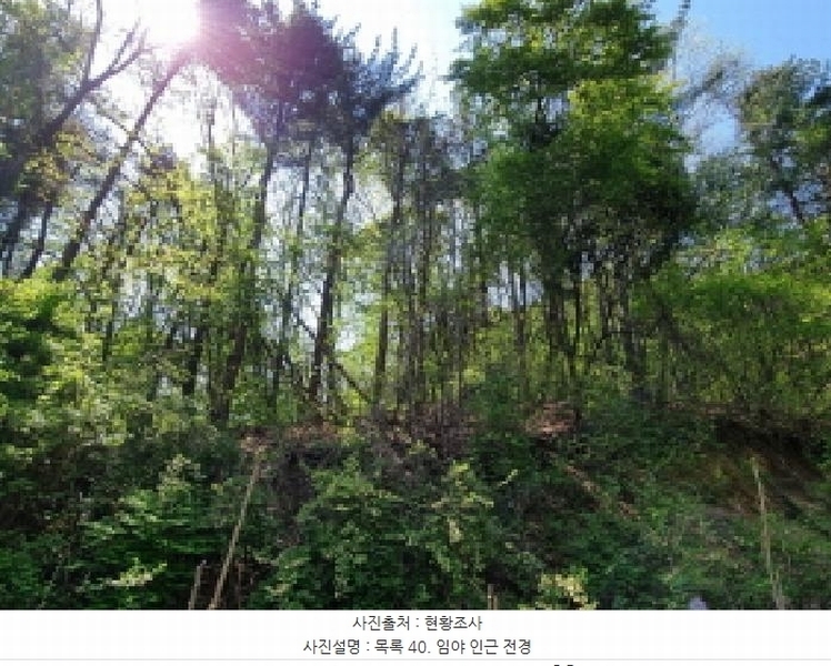 2024타경67240 경기도 광주시 퇴촌면 영동리 산65-29 임야 경매 이미지