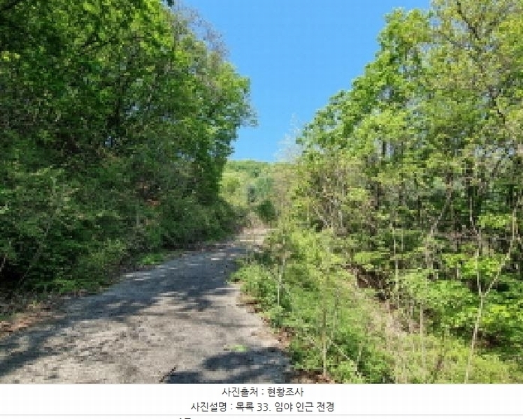 2024타경67240 경기도 광주시 퇴촌면 영동리 산65-29 임야 경매 이미지