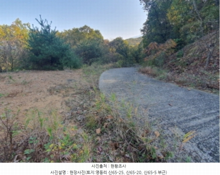 2024타경67240 경기도 광주시 퇴촌면 영동리 산65-29 임야 경매 이미지