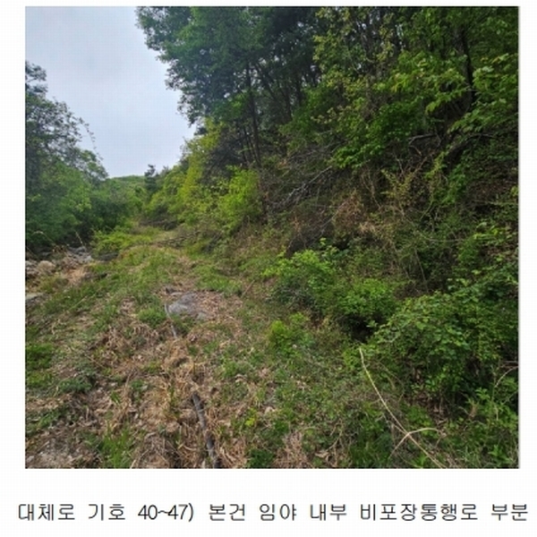 2024타경67240 경기도 광주시 퇴촌면 영동리 산65-29 임야 경매 이미지