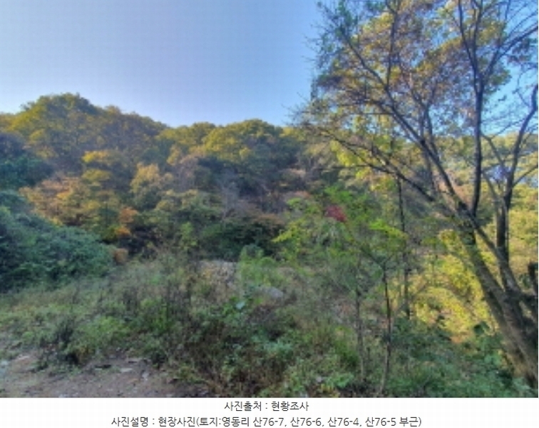 2024타경67240 경기도 광주시 퇴촌면 영동리 산65-29 임야 경매 이미지
