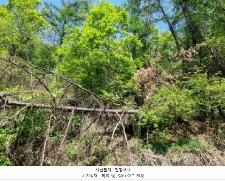 2024타경67240 경기도 광주시 퇴촌면 영동리 산65-29 임야 경매 이미지