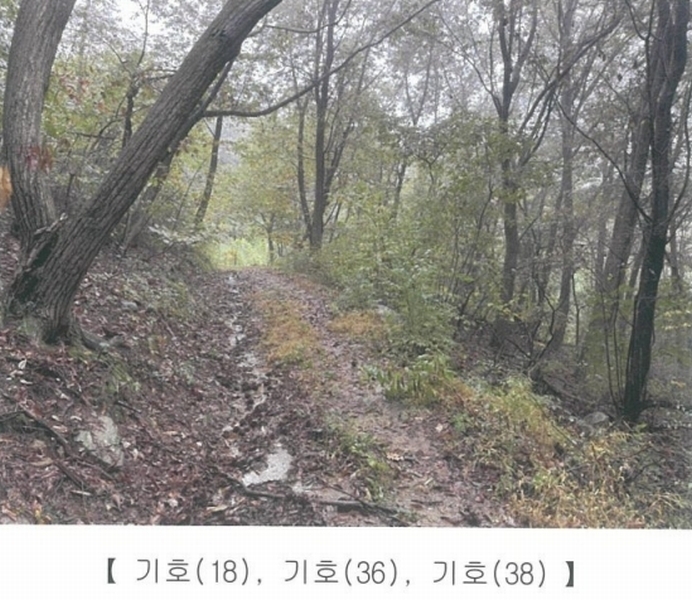 2024타경67240 경기도 광주시 퇴촌면 영동리 산65-29 임야 경매 이미지