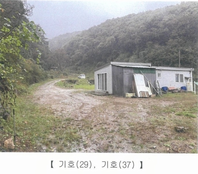 2024타경67240 경기도 광주시 퇴촌면 영동리 산65-29 임야 경매 이미지