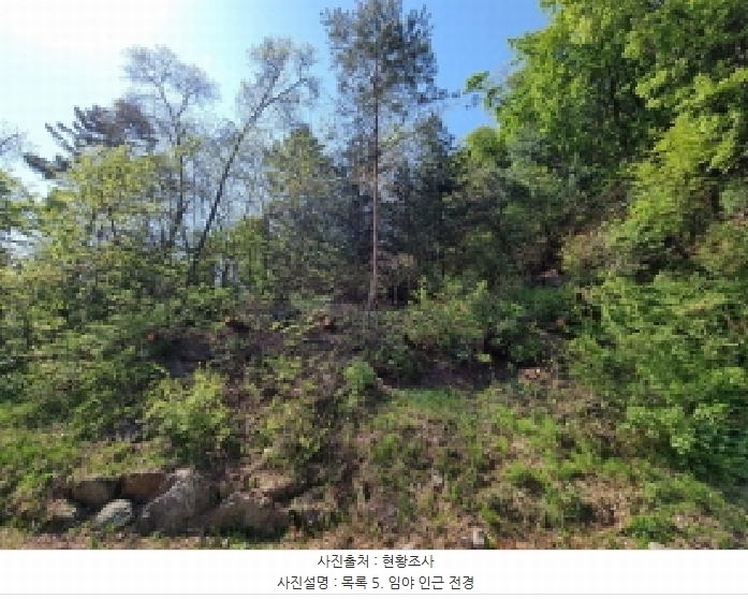 2024타경67240 경기도 광주시 퇴촌면 영동리 산65-29 임야 경매 이미지