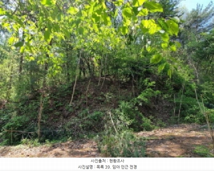 2024타경67240 경기도 광주시 퇴촌면 영동리 산65-29 임야 경매 이미지