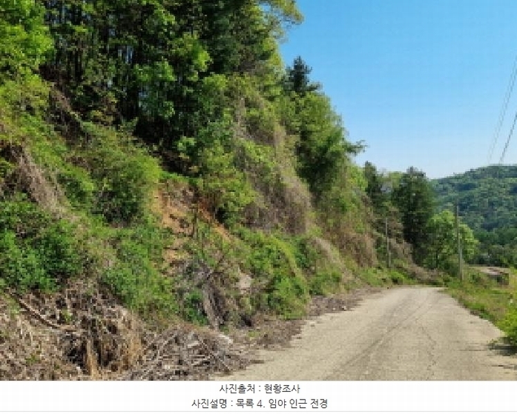 2024타경67240 경기도 광주시 퇴촌면 영동리 산65-29 임야 경매 이미지