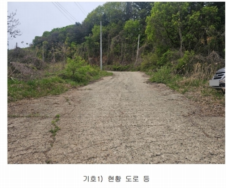 2024타경67240 경기도 광주시 퇴촌면 영동리 산65-29 임야 경매 이미지